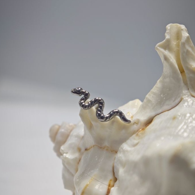 16G Tytanowy Pierścień do Pier – Body Jewelry Implant Grade recenzja i cena