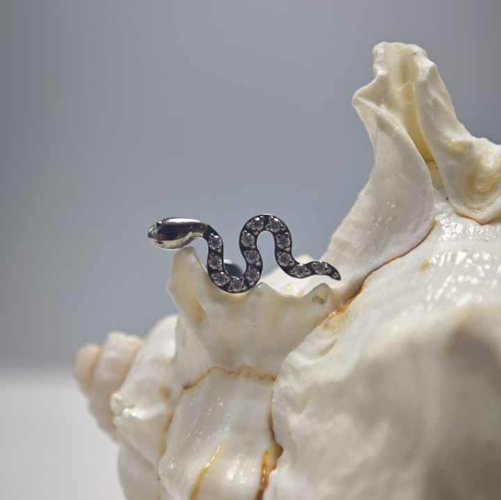 16G Tytanowy Pierścień do Pier – Body Jewelry Implant Grade recenzja i cena
