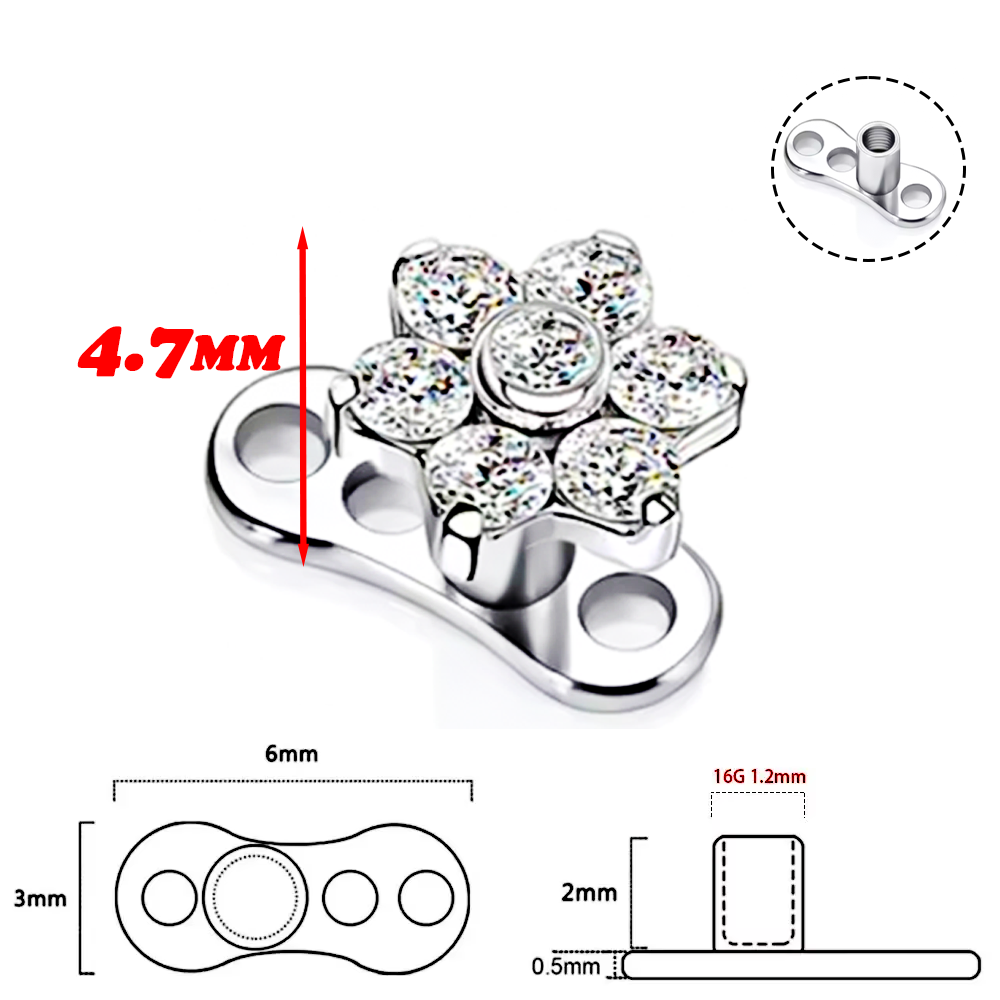F136 Tytanowy Stop Wysokiej Ja – Body Jewelry Implant Grade recenzja i cena